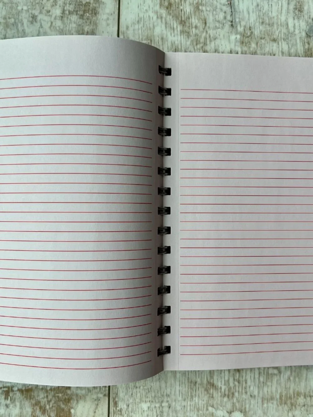2-Piece Set!  Pink Stripe Journal & Photo Album